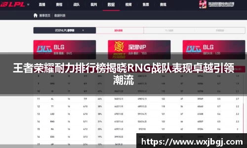 王者荣耀耐力排行榜揭晓RNG战队表现卓越引领潮流