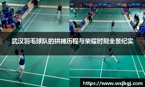 武汉羽毛球队的拼搏历程与荣耀时刻全景纪实