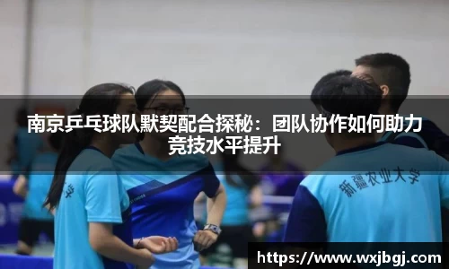 南京乒乓球队默契配合探秘：团队协作如何助力竞技水平提升