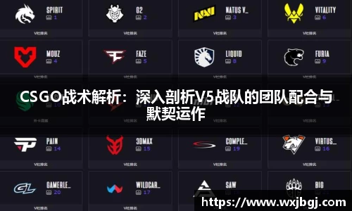 CSGO战术解析：深入剖析V5战队的团队配合与默契运作