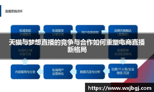 天猫与梦想直播的竞争与合作如何重塑电商直播新格局