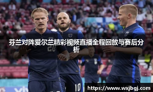 芬兰对阵爱尔兰精彩视频直播全程回放与赛后分析